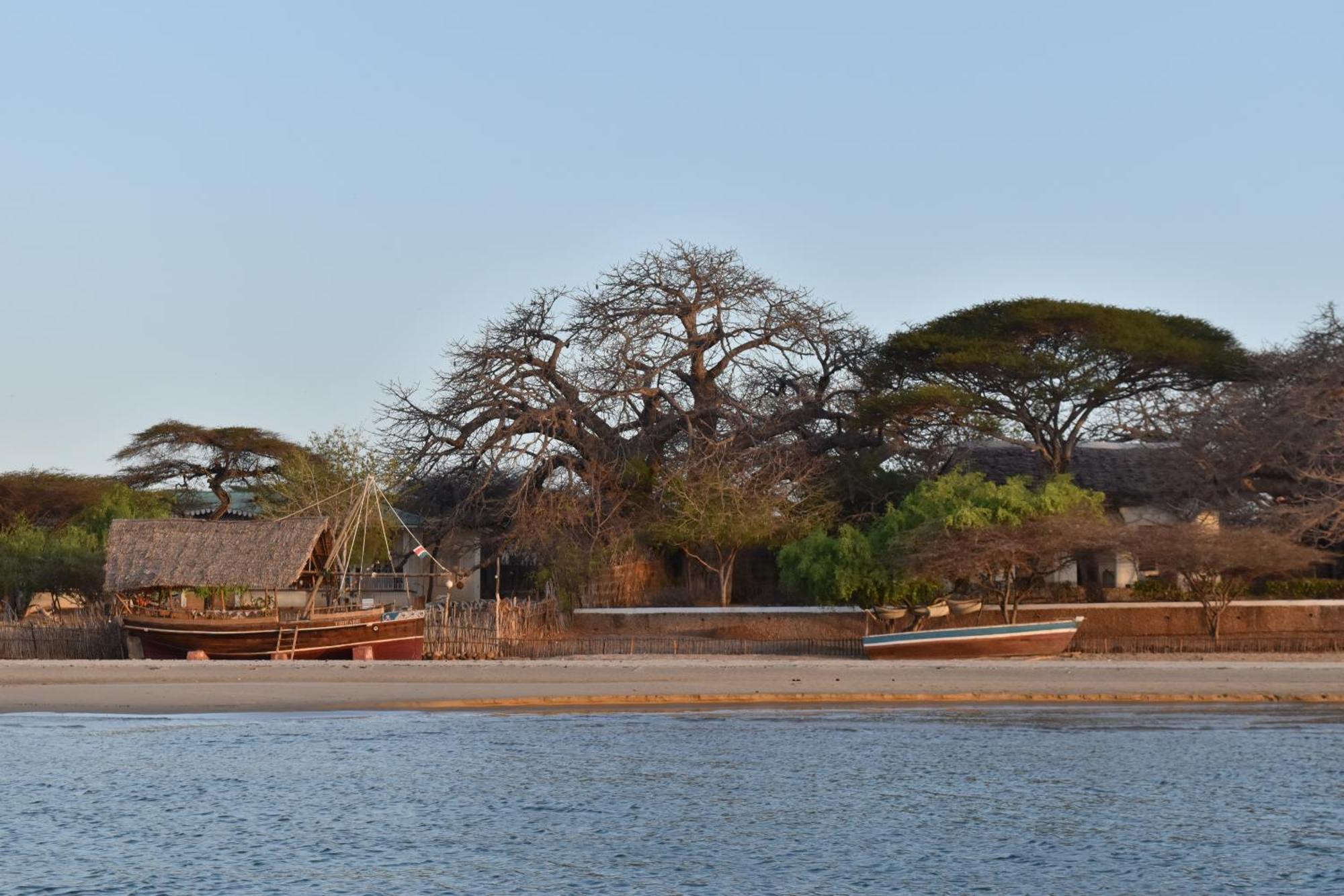 Amu House Hotell Lamu Eksteriør bilde